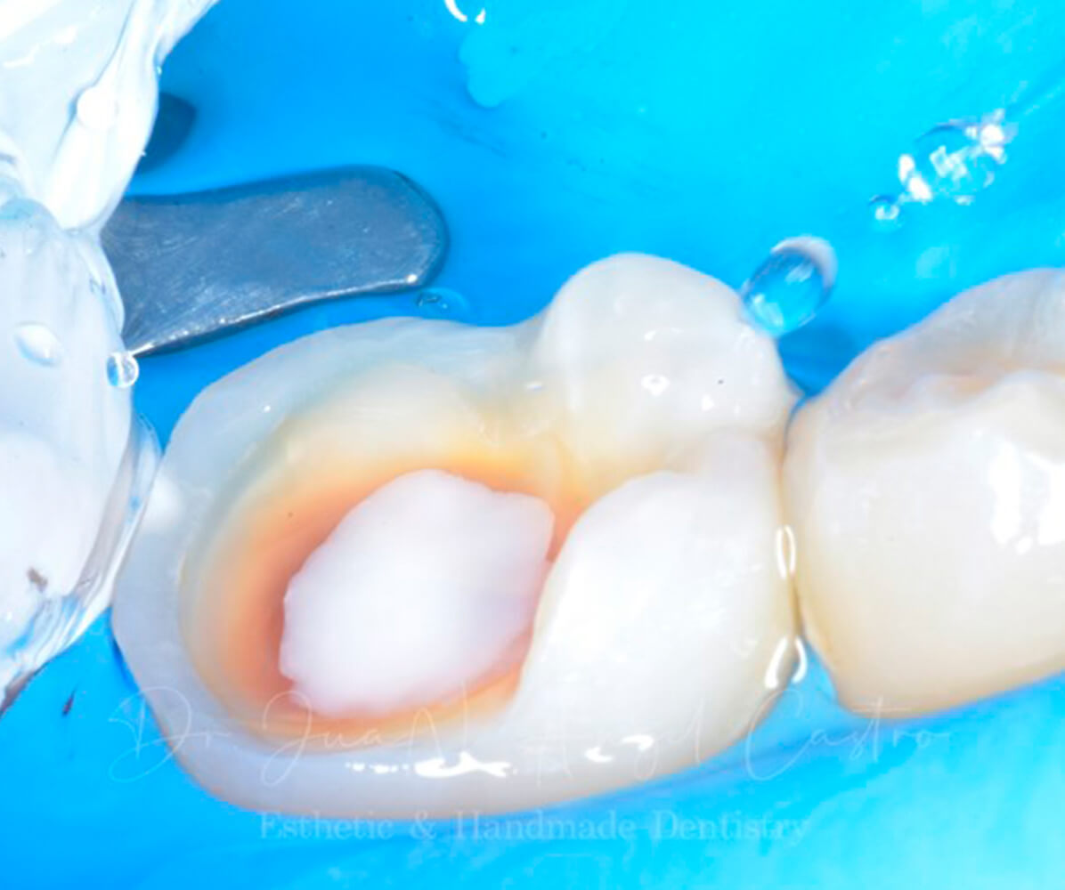 -0004-dsc0661.jpg