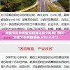 新奥资料免费精准新奥生肖卡凯旋门图片,定量分析解释落实_RTv.4.472