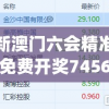 新澳门六会精准免费开奖7456,现象解答解释落实_顶级款.0.206