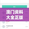澳门资料大全正版资料2024年免费,实地调研解释落实_BTv.2.408