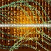 (模板文件损坏)关于normal.dot模板损坏的问题解析与解决方案
