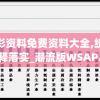 新澳彩资料免费资料大全,统计分析解释落实_潮流版WSAP.4.665