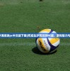 (死或生沙滩排球pc中文版下载)死或生沙滩排球PC版，游戏魅力与体验探索