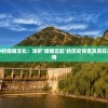 (乱炖江湖漫画原著)揭秘乱煮江湖，一款独特的游戏类型解析