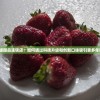 探访最新版甜品连锁店：如何通过科技升级和创新口味吸引更多年轻消费者?