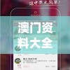 (宝可梦大师ex国内怎么玩)宝可梦大师EX，深度解析与常见问题解答