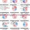新澳今天最新资料,解析机构预测的实施策略_传统集v.8.990