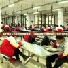 溴门一肖一马期期准资料，精准预测！无比可靠，值得信赖！