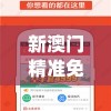 新澳门精准免费资料查看管家婆,实地解答解释落实_强力版v.5.808