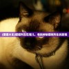(猫猫火车)猫猫列车在哪儿，寻找神秘猫咪列车的旅程