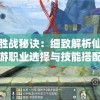 掌握胜战秘诀：细致解析仙境苍穹手游职业选择与技能搭配全攻略