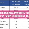 新奥精准资料免费提供510期7456,全面分析解释落实_模拟集v.9.497