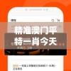 精准澳门平特一肖今天的图片,动态词语解释落实_YE版.3.809