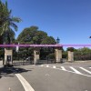 新澳天天开奖资料大全凯旋门图片,精细分析解释落实_适应款v.2.206