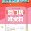 澳门精准资料管家婆7456,保证资料解读的准确性与实用性_粉丝版v.9.381