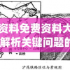 正版资料免费资料大全火凤凰,解析关键问题的重要性与实施策略_简约版v.9.8