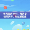 (代号bee手游)代号BEE涉嫌抄袭命运2，深度分析与探讨