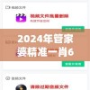 (十洲繁华景测试服怎么打不开)十洲繁华景测试服，探索与前瞻