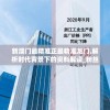 新澳门最精准正最精准龙门,解析时代背景下的资料解读_粉丝版v.0.551