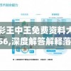 澳彩王中王免费资料大全7456,深度解答解释落实_自在版v.0.715
