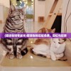 (猫语咖啡老版本)猫语咖啡旧版免费，回忆与探索