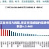 新澳2024年正版资料火凤凰,保证资料解读的准确性与实用性_定制版v.5.468