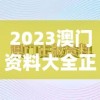 2023澳门资料大全正版资料免费,探讨有效解答的实施方法_RE版v.3.143