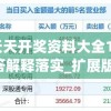 新澳天天开奖资料大全105,经典解答解释落实_扩展版.8.385