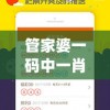 管家婆一码中一肖管家婆,综合分析解释落实_MTv.3.62