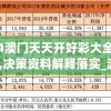 2024澳门天天开好彩大全免费7456,决策资料解释落实_游戏版APP.3.82