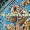 (中华群英传怎么打神仙)中华群英传，历史英雄的重塑与传承