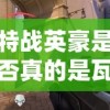 特战英豪是否真的是瓦罗兰特中的英雄？游戏角色设定及玩家体验解析