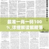 最准一肖一码100%,详细解读解释落实_极速版IPADv.5.435
