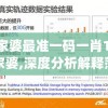 管家婆最准一码一肖100管家婆,深度分析解释落实_set.8.307