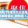 2024澳门今晚开什么生肖,权威分析解释落实_教育款.1.211