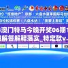 2024澳门特马今晚开奖06期198期,精细解答解释落实_特定款v.5.26