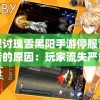 探讨瑰雪黑阳手游停服背后的原因：玩家流失严重还是运营不善导致的结果?