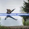 (冒险战记手游攻略)冒险战记手游，探索未知世界的勇者之旅