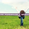 (最后生还者第二季在线观看)最后生还者第二季，生存与复仇的交织篇章
