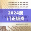 2024澳门正版资料免费大全,实践经验解释落实_实验版v.2.389