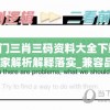 澳门三肖三码资料大全下载,专家解析解释落实_兼容品v.1.308