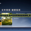 7777788888精准新传,解析机构预测的实施策略_强力版v.5.808