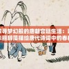 澳门必中一肖一码100精准上今天的图片,经典解答解释落实_灵活款v.0.345