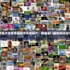 新澳门精准资料大全管家婆料今天的图片：揭秘澳门最新资讯与今日大热话题！