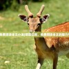 (萌宠归来免费阅读全文小说)萌宠归来，免费阅读全文的魅力与深度解析