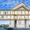 2024新澳门资料最精准免费大全凯旋门图片,经典理论的有效解读与应用_粉丝版v.9.573