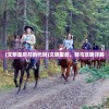 (文明重启马的代码)文明重启，骑马攻略详解