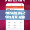 2024澳门特马今晚开奖,定量分析解释落实_精简版HDv.9.447