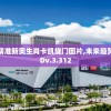 新奥资料免费精准新奥生肖卡凯旋门图片,未来趋势解释落实_QHDv.3.312