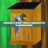 (地城邂逅记忆憧憬哪个服福利好)地城邂逅记忆憧憬关服原因深度解析